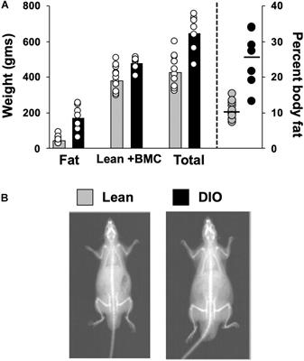 Taste Responses in the Nucleus of the Solitary Tract of Awake Obese Rats Are Blunted Compared With Those in Lean Rats